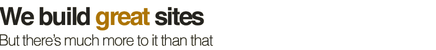 Web design and development, cms, seo, usability and accessibility