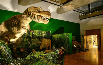 dino-feature3