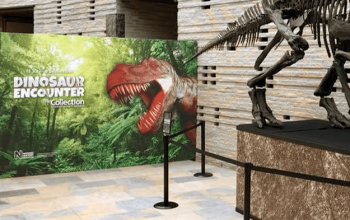 dinosaur encounter